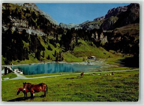 6436 Bisisthal - Pferde Sahli Jägernstöcke Märenberg