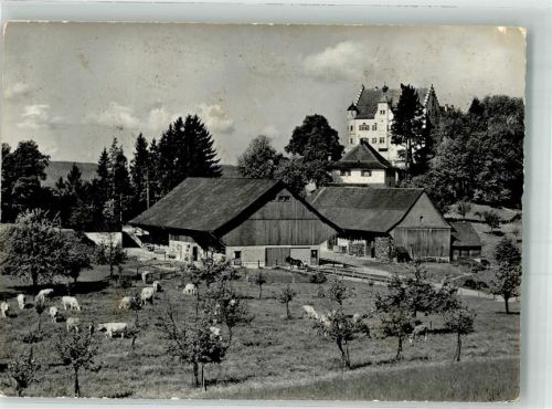 9507 Stettfurt Foto AK Schloss Sonnenberg