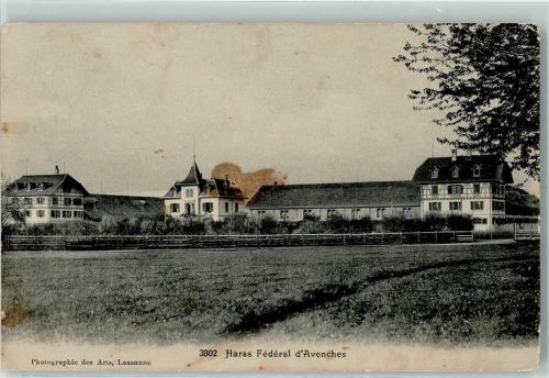 1580 Avenches 1911 Gebrauchsspuren Haras Federal d'Avenches