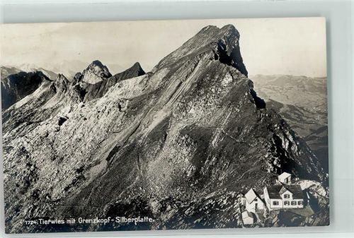 Tierwies - Grenzkopf Silberplatte