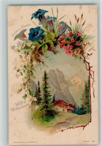 6083 Hasliberg Hohfluh Lithographie Enzian und Silenen Welt und Wetterhorn