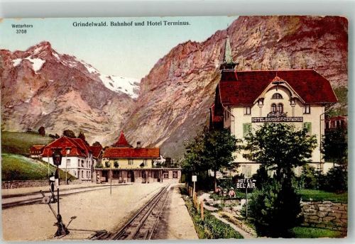 3818 Grindelwald Foto AK Bahnhof Hotel Terminus