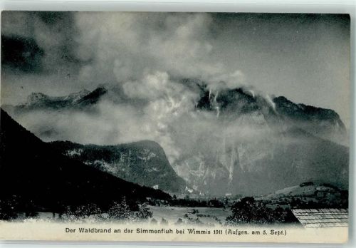 3752 Wimmis 1911 Foto AK Waldbrand Simmefluh