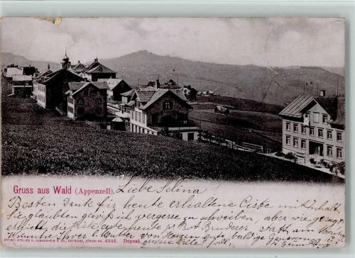 9044 Wald AR Gebrauchsspuren 1906