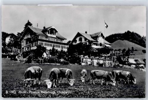 3624 Goldiwil (Thun) - Hotel Pension Blümlisalp
