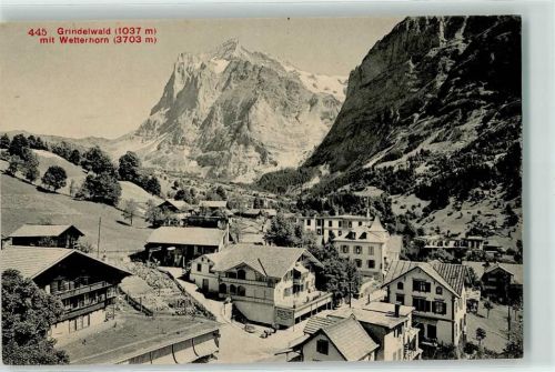 3818 Grindelwald - Wetterhorn