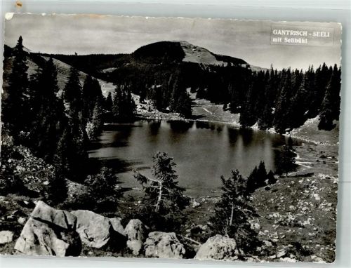 Gantrisch Foto AK Gantrisch-Seeli