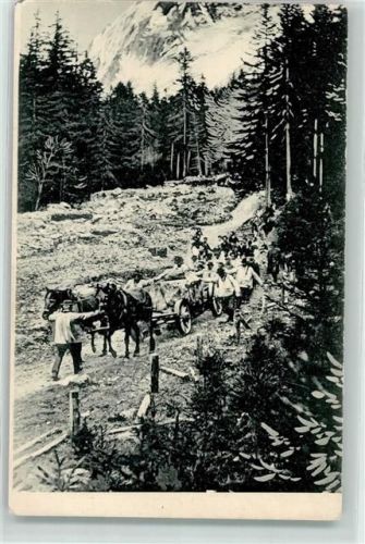 1882 Gryon - Waldarbeiter