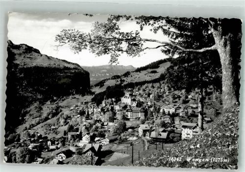 3823 Wengen 1959 Foto AK