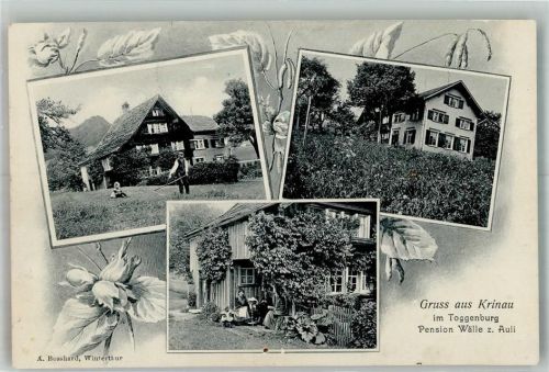 9622 Krinau 1911 Foto AK Pension Wälle z.Auli