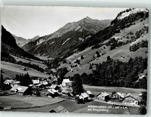 7326 Weisstannen Foto AK Ringgenberg Foto Gross
