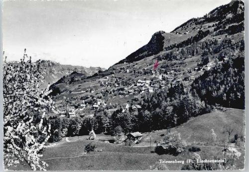 Triesenberg - Panorama