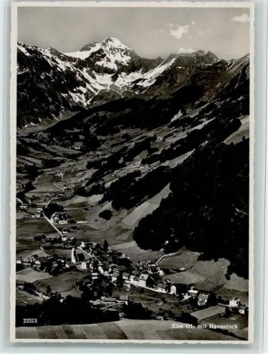 8767 Elm - Hausstock