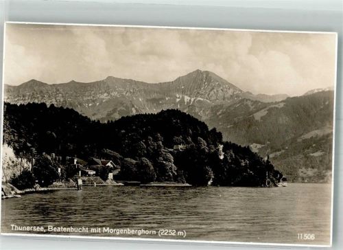 3658 Beatenbucht Merligen Foto AK Thunersee