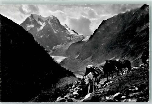 1986 Arolla - Mont Collon Pferd Gepäck
