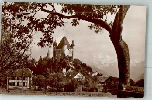 3600 Thun 1922 Foto AK Schloss