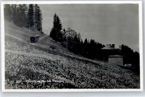 Les Pléiades - Eisenbahn