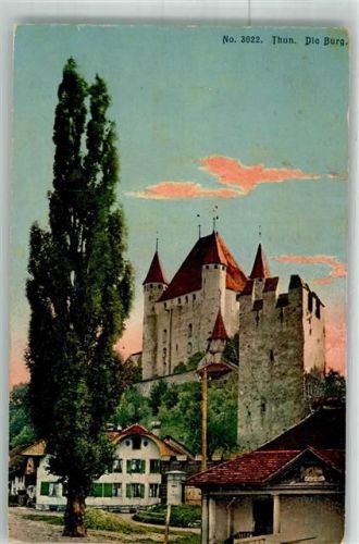 3600 Thun 1914 Foto AK Burg