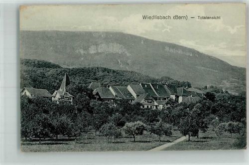 4537 Wiedlisbach Foto AK Feldpost Bat.Sapeurs Nr. 2
