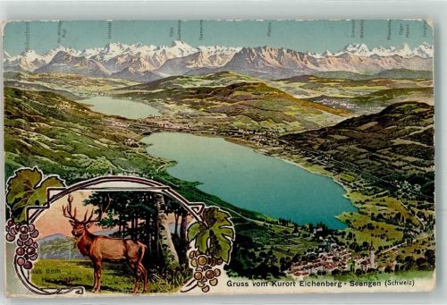 5707 Seengen 1911 Gebrauchsspuren Kurort Eichenberg Hirsch