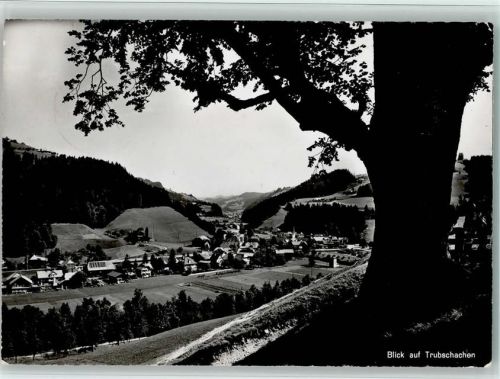 3555 Trubschachen - Blick auf Trubschachen Baum