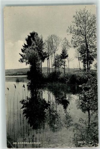 6204 Sempach Gebrauchsspuren Sempachersee