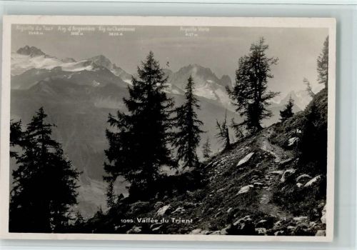 1929 Trient - Vallée du Trient Bäume