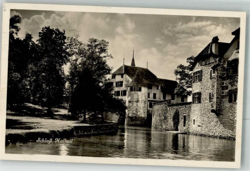 5705 Hallwil 1927 Foto AK Schloss