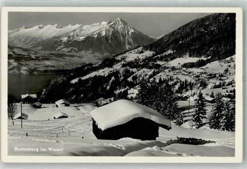 3803 Beatenberg Winter