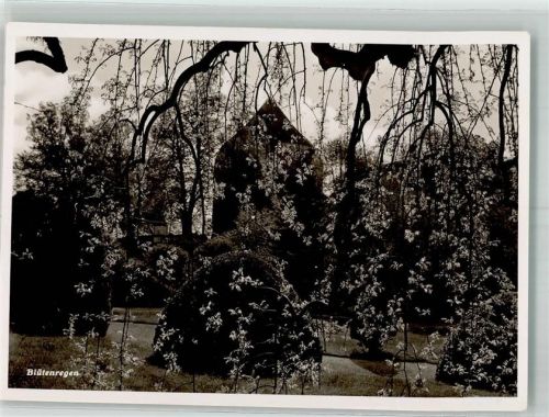 4500 Solothurn Soleure Foto AK Ort lt. Verlag Frühling