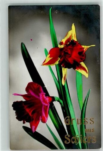 7220 Schiers - Blumenportrait