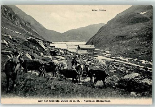 Oberalp - Kurhaus Oberalpsee