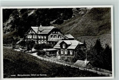7326 Weisstannen - Hotel zur Gemse