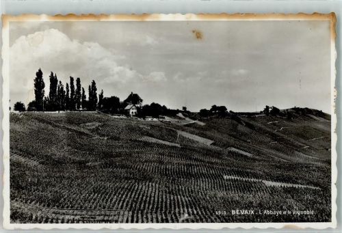 2022 Bevaix Gebrauchsspuren Reber