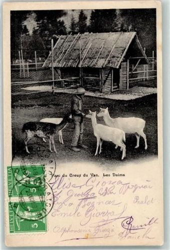 2103 Noiraigue - Les Daims Parc du Creux Ort lt. Stempel