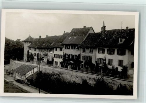 8253 Diessenhofen - untere Stadtmauer