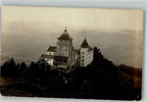 4806 Wikon 1916 Foto AK Schloss