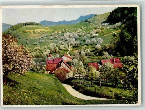 4437 Waldenburg - Im Baselbiet bei Waldenburg blühende Kirschbäume