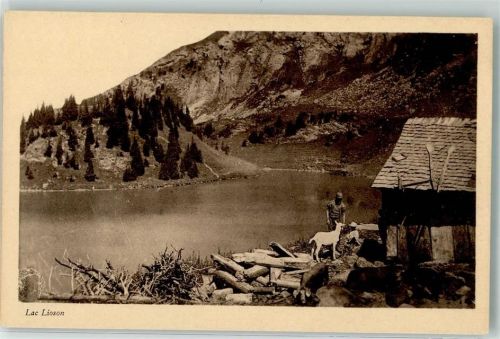 Lac Lioson - Ziege