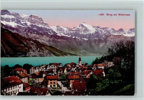 8877 Murg - Teilansicht mit Wallensee, gute Erhaltung AK.