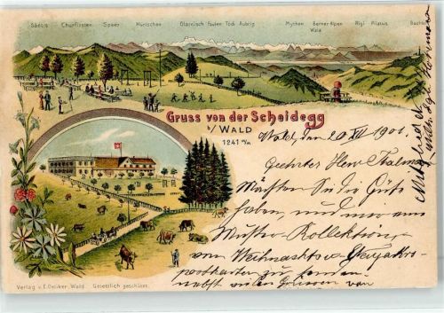 Scheidegg 1901