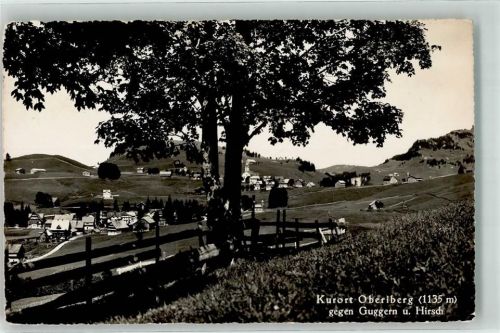 8843 Oberiberg Foto AK Guggern Hirsch
