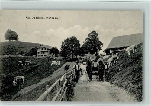 6125 Menzberg 1910 - Alp Oberlehn , Tiergespann, Rinder, Bauern