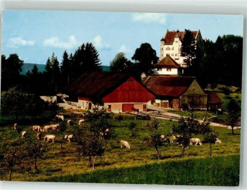 9507 Stettfurt Foto AK Schloss Sonnenberg