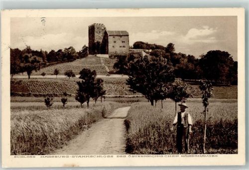 5245 Habsburg - Schloss