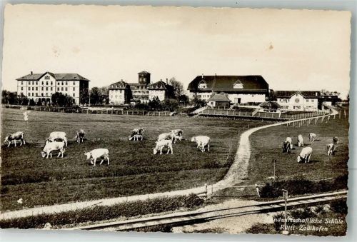 3052 Zollikofen Foto AK landwirtschaftliche Schule