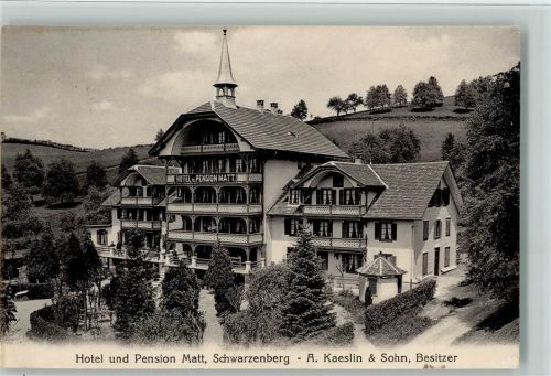 6103 Schwarzenberg LU 1925 - Pension Matt