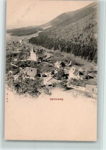 1446 Baulmes - Teilansicht, 1900 gute Erhaltung AK