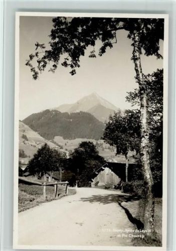1863 Le Sépey Ormont-Dessous - Route de Leysin et Pic Chaussy Baum