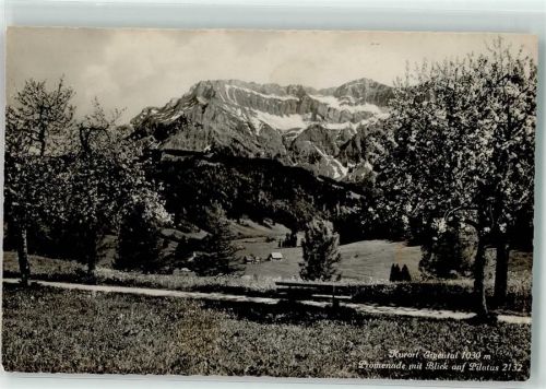 6013 Eigenthal - Pilatus